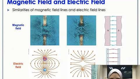 Week 12: Chapter 19 part 1