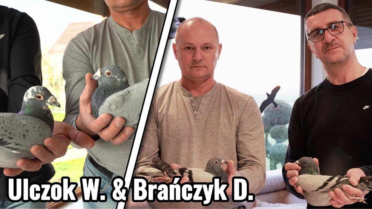 Ulczok W. & Brańczyk D. / 0145 Pszczyna | Sprint na Najwyższym Poziomie!