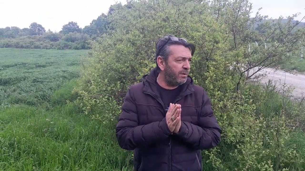 BALIKESİR/GÖNEN/ÜÇPINAR TARLA 12 DÖNÜM - GÖNEN'E 10 KM-ASFALTA CEPHE-ÇİFTLİK İÇİN İDEAL BİR YERDİR