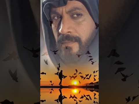 قصيد الفنان ياسر المصري رحمه الله التراث الاردني اكسبلور