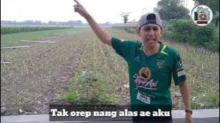 Story Wa Lucu || Kenek Cinta Dadi Goblok Ndadak🤣