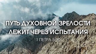 видео: Короткая проповедь - Путь духовной зрелости лежит через испытания  |Рудый Станислав| 23.03.2024 картинка: Короткая проповедь - Путь духовной зрелости лежит через испытания  |Рудый Станислав| 23.03.2024
