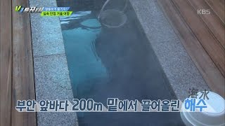 VJ 특공대 - 알뜰하게 즐기자! 실속 만점 겨울 여행!.20161223