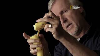 James Cameron talking about his Banana (Theory)