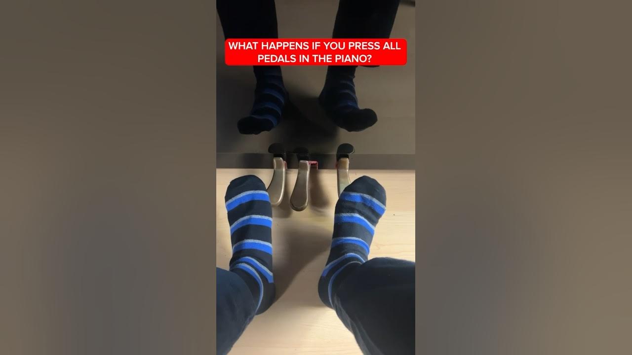 That’s why we dont have 3 feet… #piano #pianotutorial #pianocover #pianomusic #pianotok #pianolesson That’s why we dont have 3 feet… #piano #pianotutorial #pianocover #pianomusic #pianotok #pianolesson