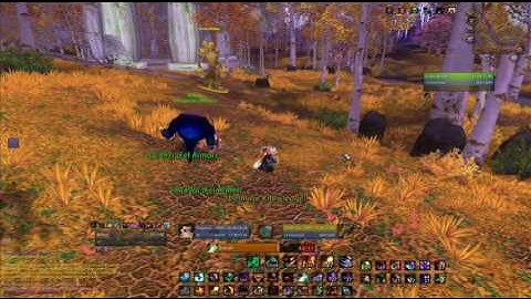 Creating a Simple WoW Focus Macro