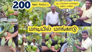 200க்கும் மேற்பட்ட பழ மரம் வளர்க்கும் அதிசய மனிதர் | மொட்டை மாடியில் மாங்காடு | A to Z fruits tree