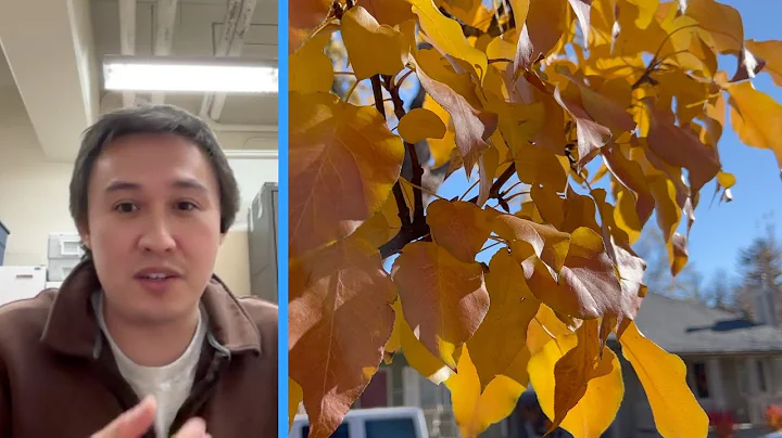 Fall’s colorful shift: expert explains why some leaves change and some don't