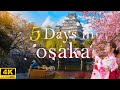 How to spend 5 days in osaka japan  the perfect travel itinerary