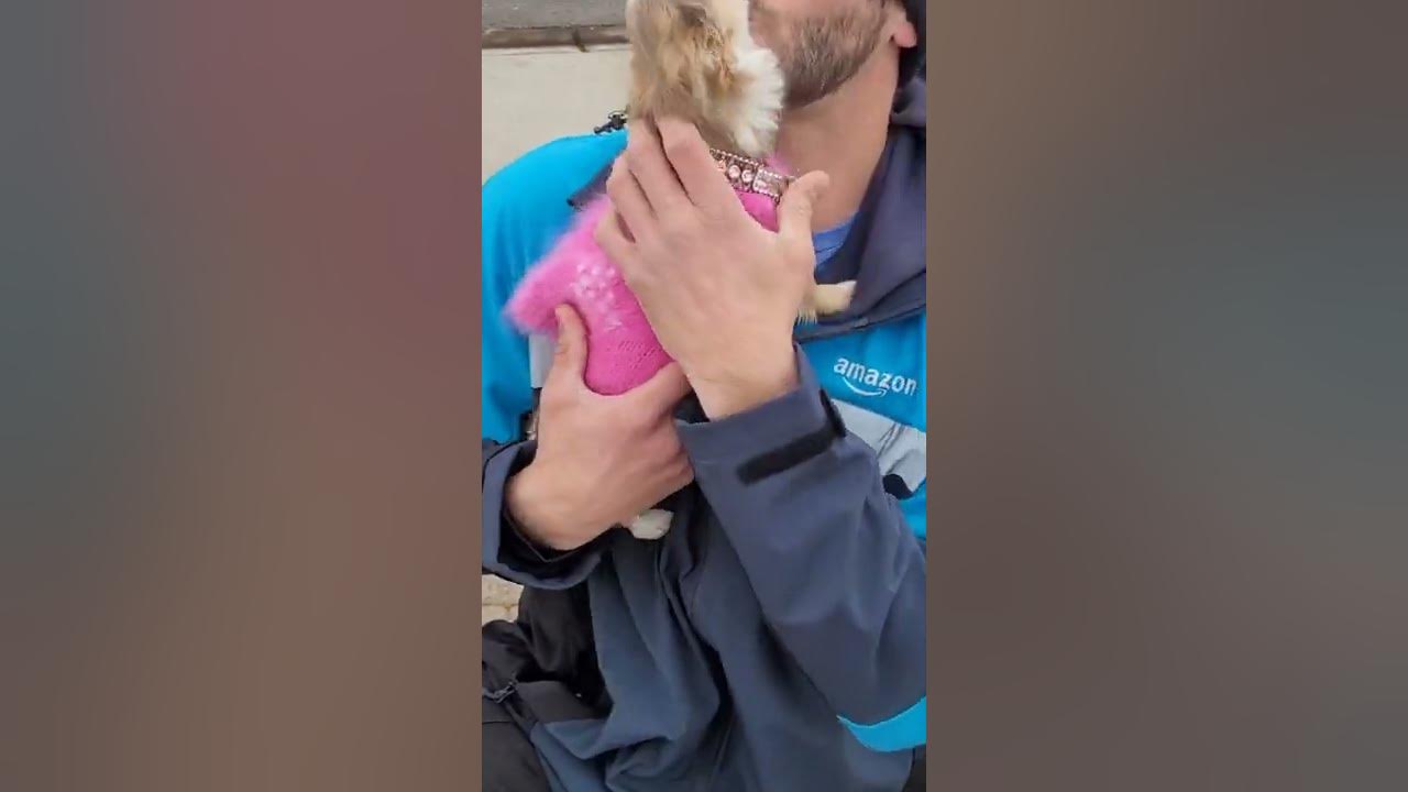 Amazon James Battles for Frannie's Love with Gift ViralHog YouTube