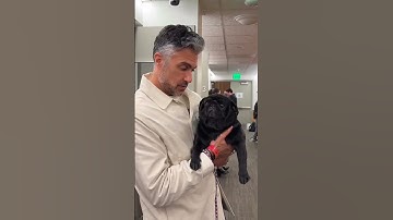 Blocked for hanging out with the rabble! Jaime Camil went crazy after praising Ángela Aguilar