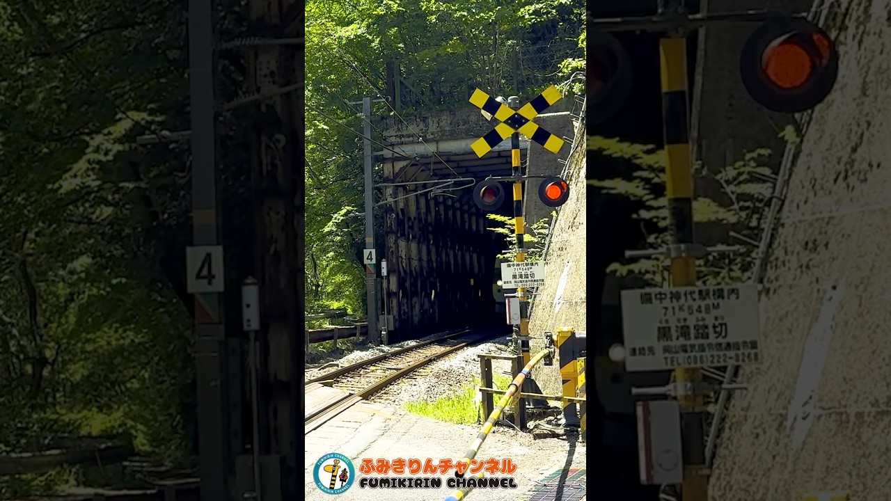 Railroad Crossing Train] What Will Pass By Next?［Railroad