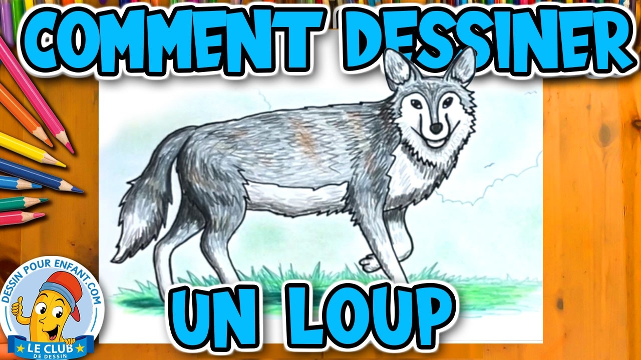 Comment Dessiner un LOUP facilement étape par étape