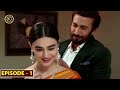 Log Kya Kahenge Episode 1 - Top Pakistani Drama