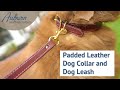 Padded Leather Dog Collar and Leash | Available in Brass and Stainless Steel Hardware | USA Made!