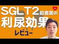 【SGLT2阻害薬】の利尿効果についてもう一度考えてみる [レビュー]
