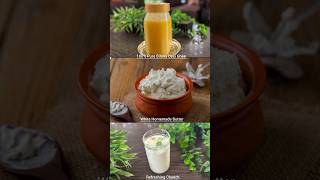1 Malai = 3 चीज़ें! Pure Desi Ghee  | Makhan + Chaach in Minutes! #bilonaghee #homemadeghee #shorts