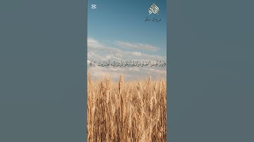 ما تيسر من سورة الأنعام 🌹🌹بصوت القارئ مروان سالم