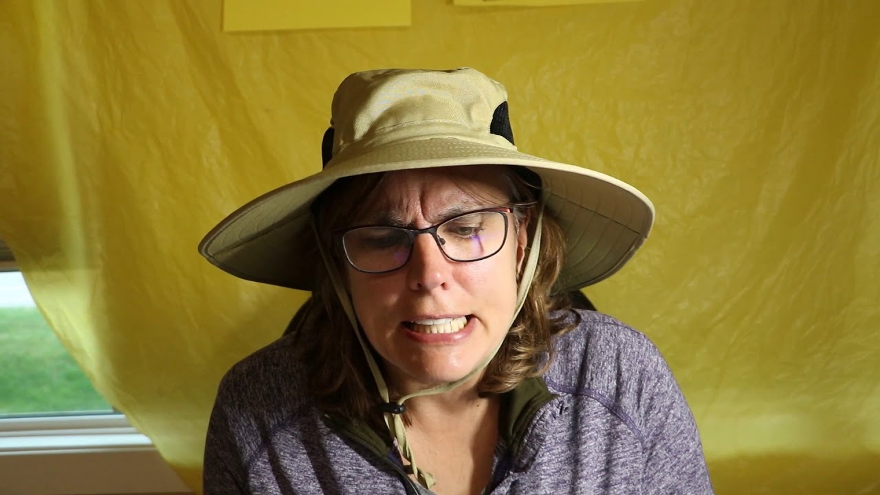 Breaking News With Kate Safari Dance YouTube breaking-news-with-kate-safari-dance-youtube