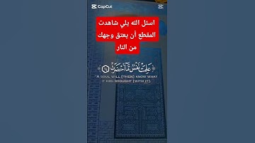 القارئ الشيخ عبد الباسط عبد الصمد #اكسبلور #pubg #pubgmobile