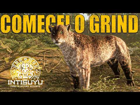 Montei o Grind de Onça-Pintada em Menos de 1 Hora