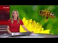 Tagesschau vom 16.07.2026 | Hauptausgabe @ 19:30 | SRF