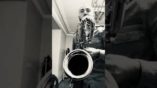Selmer Super Action 80II Baritone Saxophone /Moanin