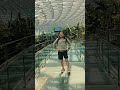 CANOPY BRIDGE 🇸🇬
