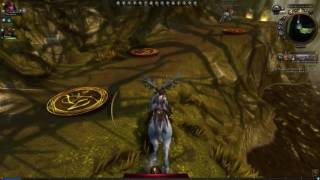Neverwinter Online | Stag Riding in Nostura's Forest screenshot 5