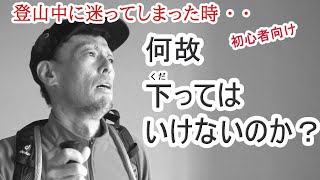 初心者向け 登山中に迷ってしまった時何故、下ってはいけないのか