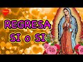 REGRESA SI o SI con esta Oración a la Virgen de Guadalupe