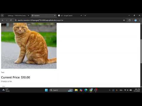 CS50W Project 2