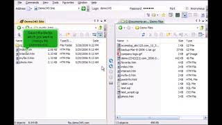 Managing files in SmartFTP