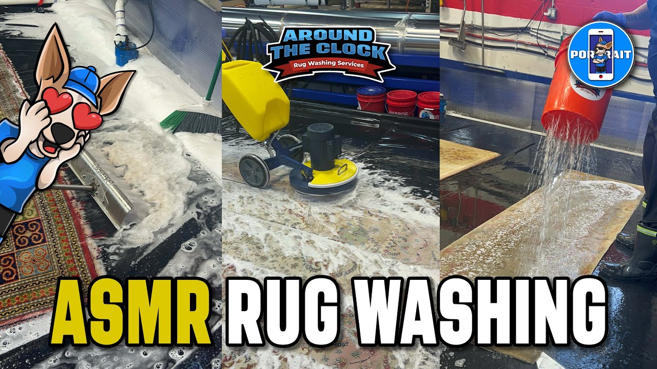 Ultimate ASMR Rug Cleaning Marathon: Dirt to Pristine - YouTube