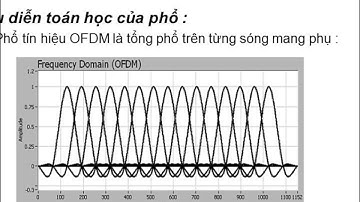 Orthogonal Frequency Division Multiplexing (OFDM)
