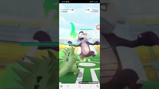 Duo- alolan marowak- 3*raid/pokemon go vevi