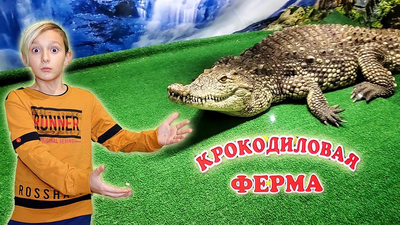 ЖИВЫЕ КРОКОДИЛЫ ! Едем на КРОКОДИЛОВУЮ ферму ВЛОГ Тим Витыч ФЕМЕЛИ