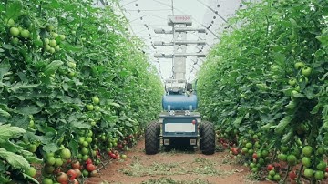 Automato Robotics Platform with Pollination Payload
