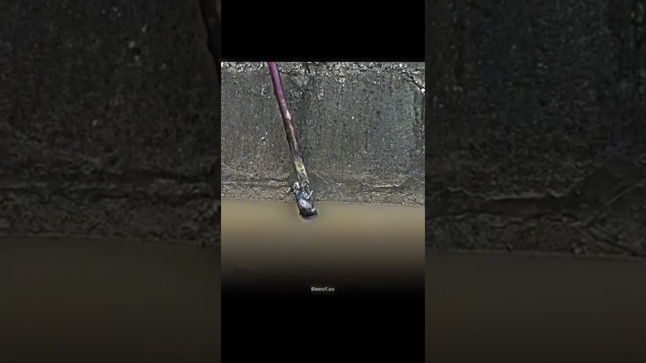 THIS MAN DESERVES HEAVEN 