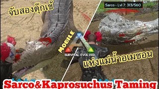 Ark Mobile มือถือ EP64 จับสองจระเข้แห่งแม่น้ำอเมซอน[Sarco&Kaprosuchus Taming]