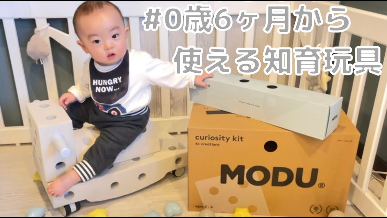 生後6ヶ月から6歳まで遊べる知育玩具】MODU(モデュ)の商品レビュー