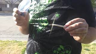 Noganite Technologies lighting Cigarette using the Sun and magnifying glass.