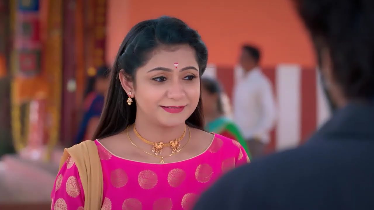 Karthigai Deepam - Full Ep - 277 - Karthikeyan, Deepa, Abirami - Zee Tamil