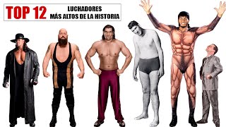 TOP los 12 luchadores más altos de la historia y de WWE