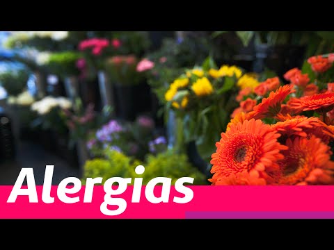 Vídeo: Alergia - Causas, Sintomas, Tratamento