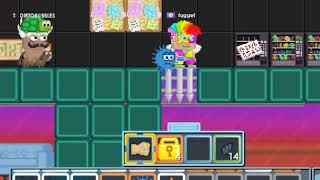 Bushigt Is Not Scammer