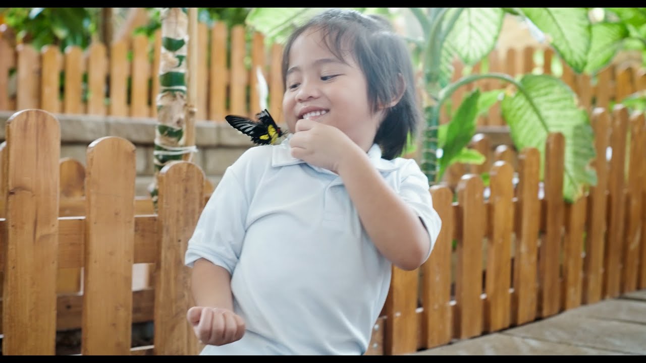 Trip to Dubai Butterfly Garden YouTube