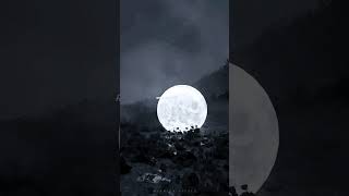 Zulfo Ke Kale Zal Ye jubinnautiyal viralshorts s