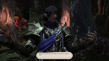 FFXIV HW : Lv60 An Allied Decision