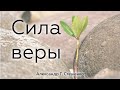 Сила веры | 21 ноября 2021 | Александр Г.  Стешенко